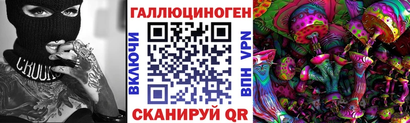 Купить  Карабулак  Галлюциногенные грибы Magic Shrooms 